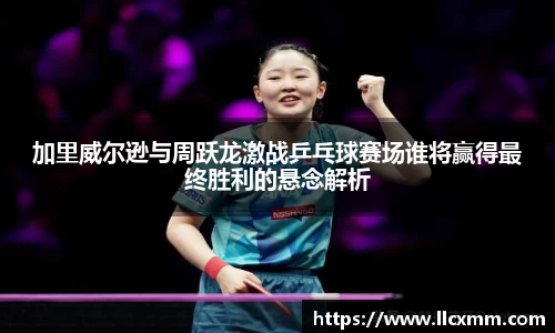 伟德bv国际体育